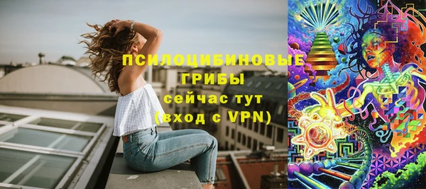 прущий лед Абаза