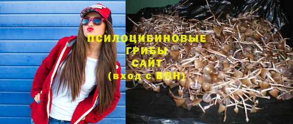 соль ск Алексеевка