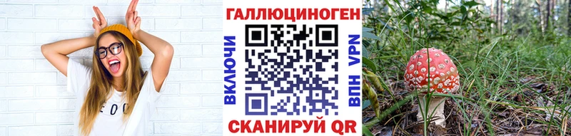 ссылка на мегу онион  Староминская  Псилоцибиновые грибы прущие грибы 